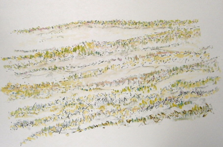 DF Zeichnungen 1